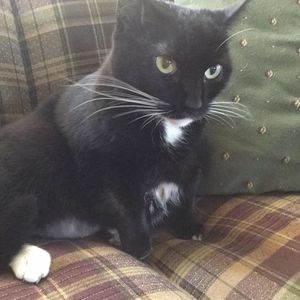 Meet your Posher, Hannah